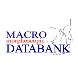 Macromorphoscopic Databank